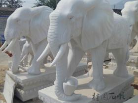 石雕大象的比例尺寸,门口大象底座尺寸